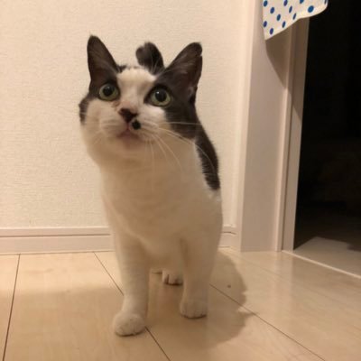 Oscan456's profile picture. 