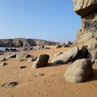 EggXpertSale's profile picture. #élevage #œufs #aviculture