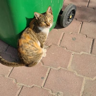 Sandybro7677's profile picture. SC