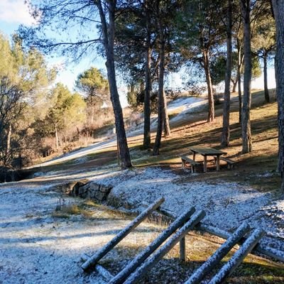 mquinper's profile picture. Aspirante a friki.