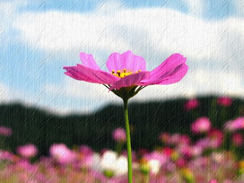 안녕하세요
컴 초보자 양경숙입니다