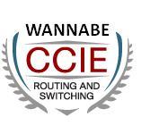 Focused on CCIE R&S.