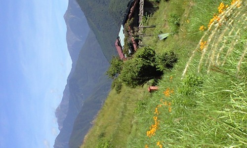 手島智子 Profile