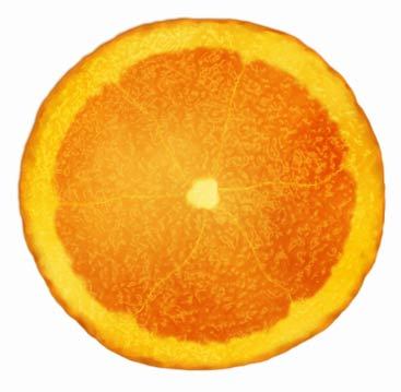 wonderwebware's profile picture. 