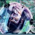 ぽぽ (@3_popo_) Twitter profile photo ぽぽ (@3_popo_) Twitter profile photo