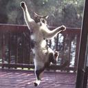 Jamie Pass - @shawcap_mild - Twitter