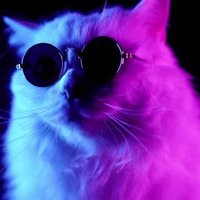 Gale Arrick (@arrickgale) 's Twitter Profile