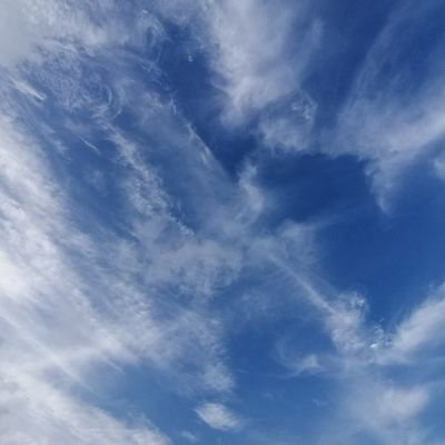 sleepy。さんのプロフィール画像