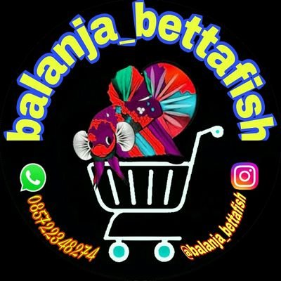 💼Since 2020🇮🇩
🌏shipping worldwide✈
🚚delivery : TIKI✈
📲085722348274
🔎Lok.Banjarsari,Kab.Ciamis Jawabarat_Indonesia🇮🇩