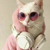 Malacatosa (@malacatosa1) 's Twitter Profile
