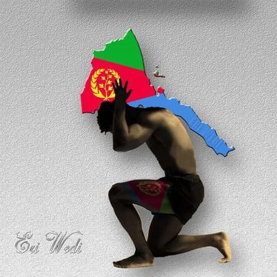 DaniWarsay's profile picture. 