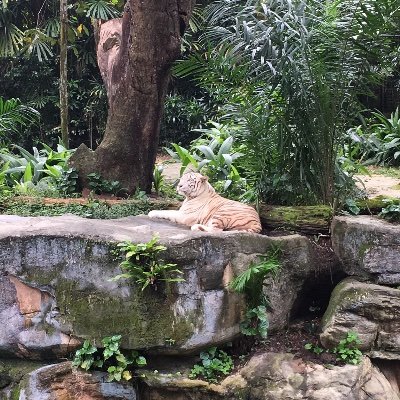 toroさんのプロフィール画像
