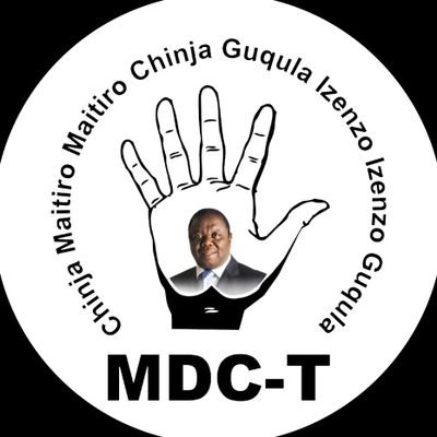 Our MDC-T Harare Province Profile