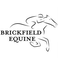 Brickfield Equine(@BrickfieldEqui1) 's Twitter Profile Photo