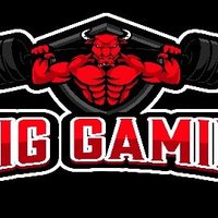 2Big Gaming (@2biggaming) 's Twitter Profile