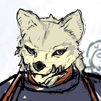 どらきちさんのプロフィール画像