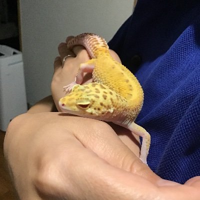 ゆーじーん2y（教員）さんのプロフィール画像