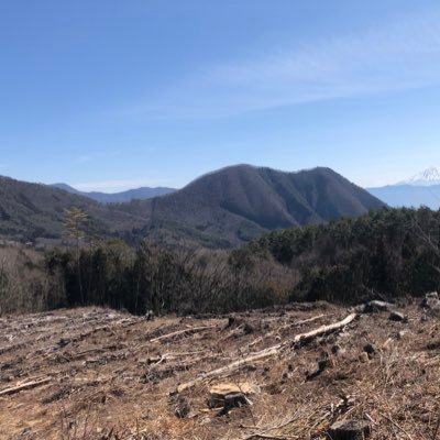 webweb0123's profile picture. 