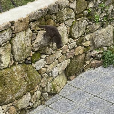 xoan_de's profile picture. 