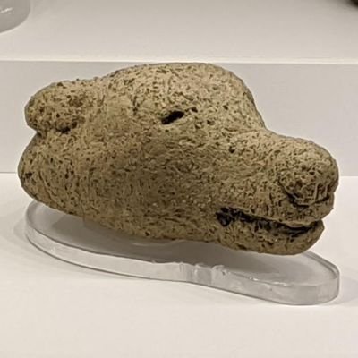 モヨロックマ【非公式】さんのプロフィール画像