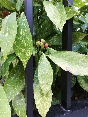 mituyama_1986's profile picture. care worker