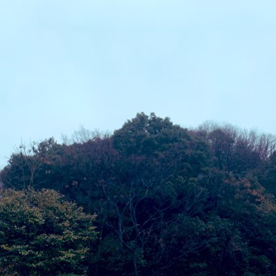mi-さんのプロフィール画像