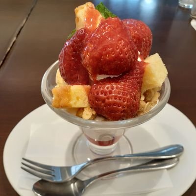 mikamik55256334's profile picture. 