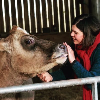 Lake District farming with @dodgsonwood. I run the farm diversification businesses. Also trustee at @lakelandarts