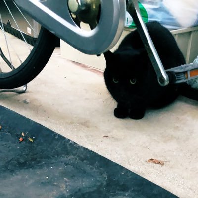 med_studylog's profile picture. 118回 医学部6年 medu4 お気軽にフォローください🥸 ごく稀に浮上