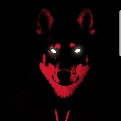 RainOfRoses1's profile picture. 