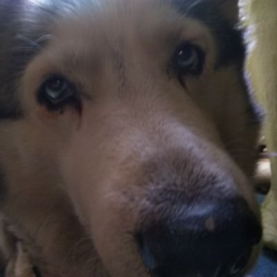 Dariusz77935249's profile picture. 