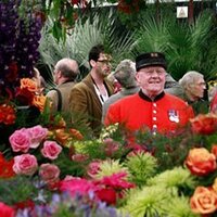 Coblands.co.uk (@rhschelsea) 's Twitter Profile