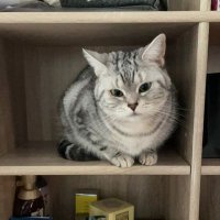 阿吧阿吧 (@vjfxlf6dsxzw5ru) Twitter profile photo