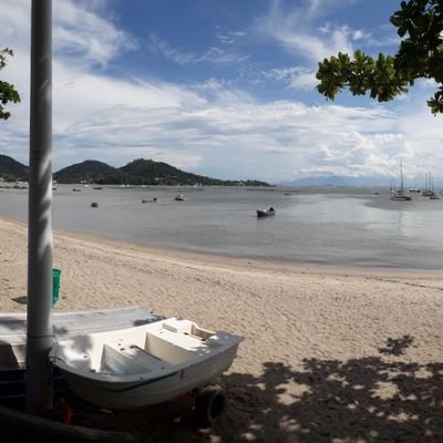 Anderso02189014's profile picture. 