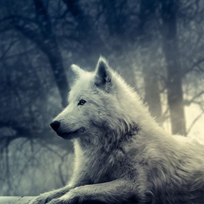 Annders35170874's profile picture. 