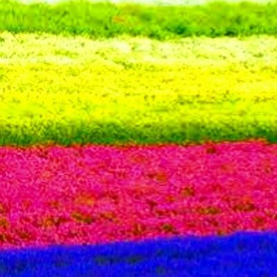NEW…どうぞ宜しくお願いします!蛇さん飼ってます。勉強のため一方的に良いなと思った作家さんをフォローしてますがフォロバは気にしないで下さい。
#LGBTQ #pixiv #生肉好き #馬刺 #文具 #雑貨 #ハンドメイド #動物 #タイ料理 #インド料理 #ビール #ハイボール #酒 #ワイン