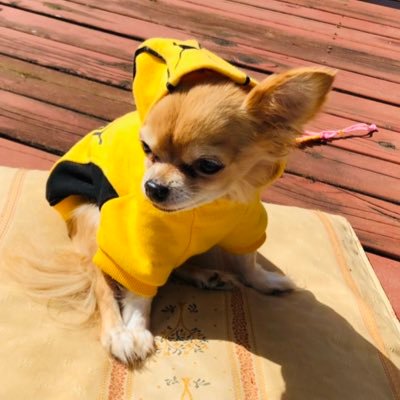 hama10111's profile picture. 【成人済み】AAAとNEWS、IZ*ONE、影山優佳ちゃん（永久カゲサポ認定済）が好きです。 よろしくお願いします。