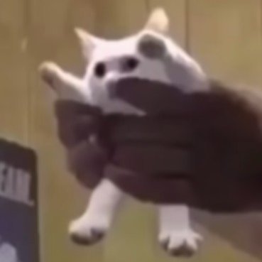 So Yeah, https://t.co/Ze8G8JQ6em