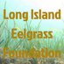Long Island Eelgrass Foundation (@EelgrassLong) Twitter profile photo
