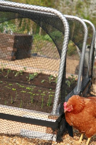 Best raised beds on the market in our humble opinion. With integrated frames, polytunnel, bird and butterfly netting covers and irrigation too. Get growing!