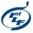 ILF_Lympho's profile image