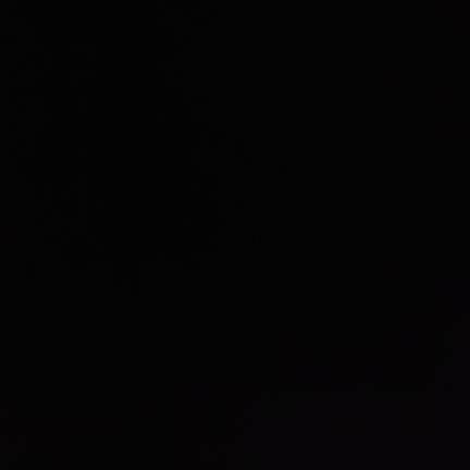 EllasProyecto's profile picture. .
