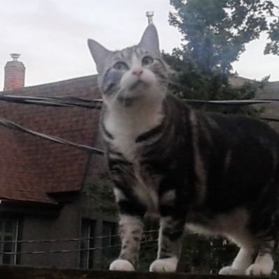 JannieMcJanJan's profile picture. 