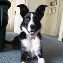 Emma Wigley - @emlwigley - Twitter