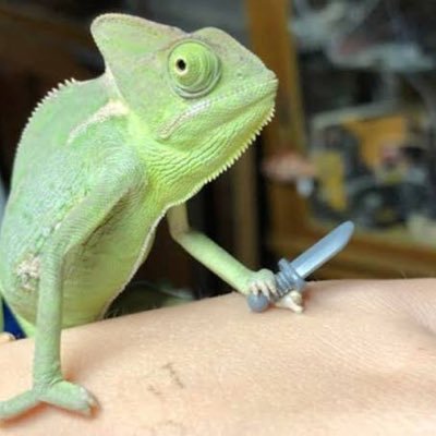 3uZ65AZotTl8tNa's profile picture. 