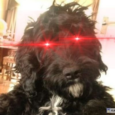 Locks35p's profile picture. Baptized in volatility.