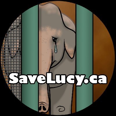 Animal advocate and Lucy lover! #captivitykills #sanctuaryheals #FreeLucy #PackHerTrunk