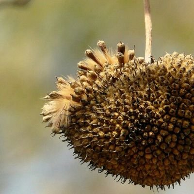 C'est désagréable mais ça fait réfléchir !
Chasseur de fascistes d’extrême-gauche