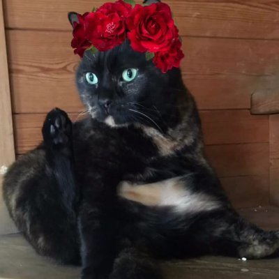 anakkaleg's profile picture. GOD IS WATCHING US FROM A DISTANCE.