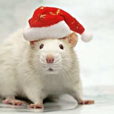 coolprohax's profile picture. #cryprol